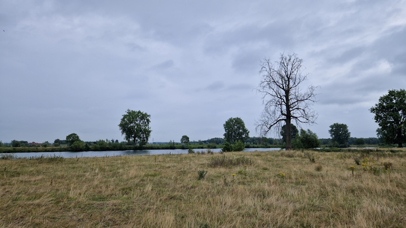 gokje