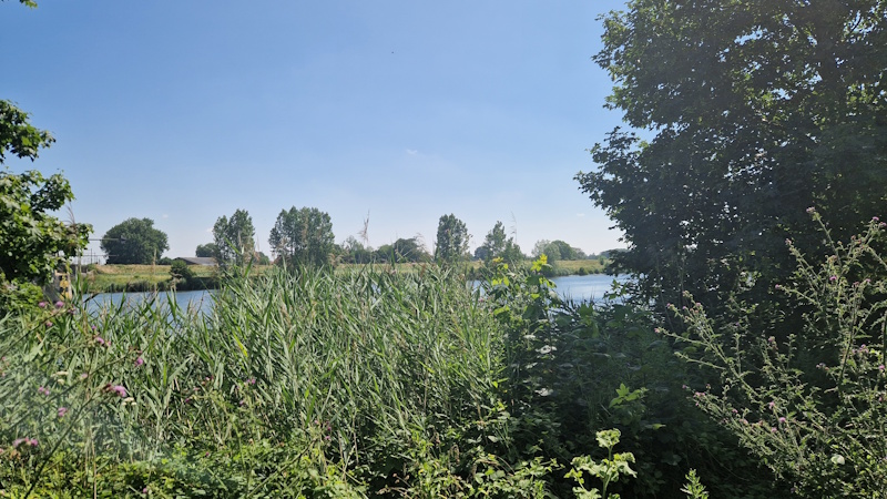 gokje