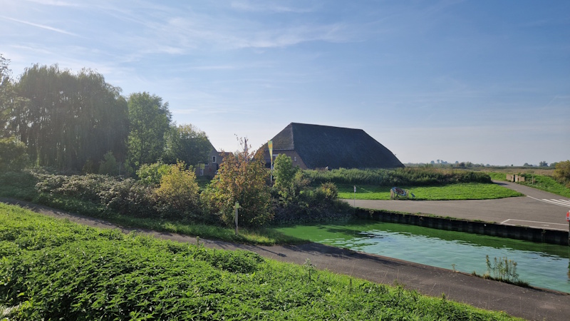gokje