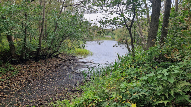 gokje